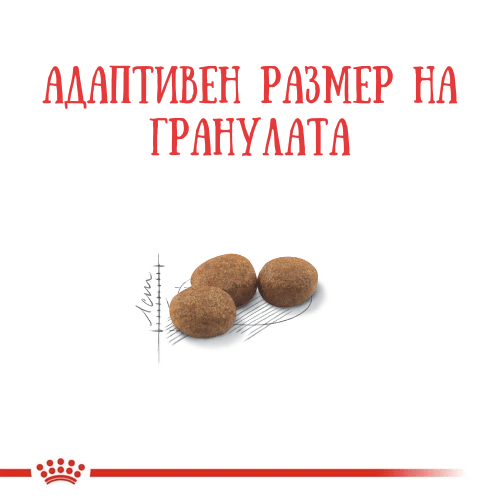 Royal Canin Sterilised 37, Храна за кастрирани котки- 3